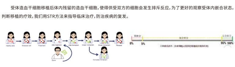 新澳门原料网大全