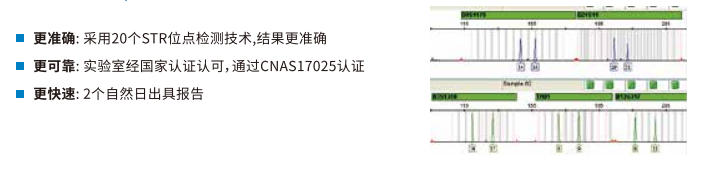 新澳门原料网大全