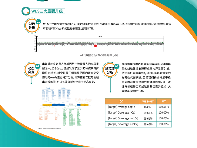 新澳门原料网大全