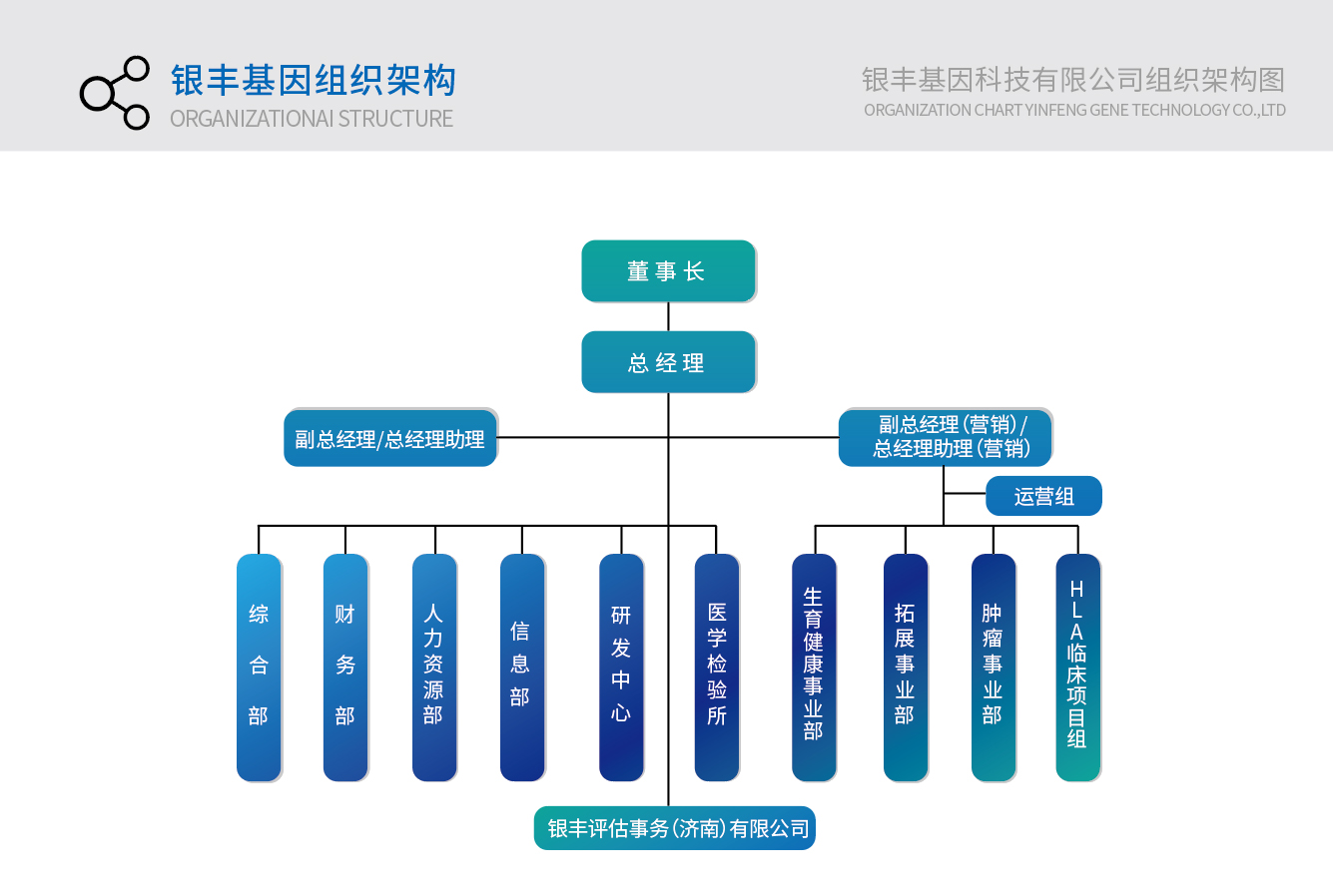 组织架构.jpg