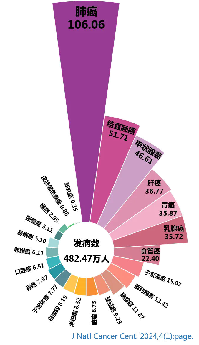 新澳门原料网大全